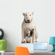bull terrier and French bulldog Wall Decal