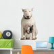 bull terrier and French bulldog Wall Decal