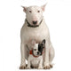 bull terrier and French bulldog Wall Decal