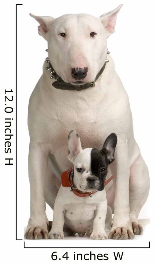 bull terrier and French bulldog Wall Decal