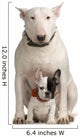 bull terrier and French bulldog Wall Decal