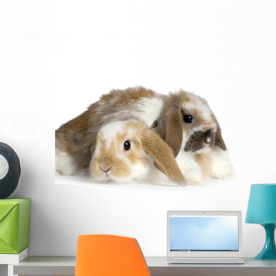 Two Bunny Rabbits Ram Wall Decal shown on a wall