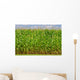 Corn Wall Mural