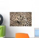Leopard Wall Decal