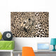 Leopard Wall Decal