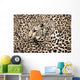 Leopard Wall Decal