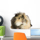 India Angora Pig Wall Decal