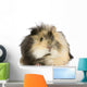 India Angora Pig Wall Decal