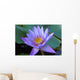 Fleur Nenuphar Nenufar Wall Mural