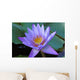 Fleur Nenuphar Nenufar Wall Mural