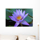 Fleur Nenuphar Nenufar Wall Mural