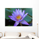 Fleur Nenuphar Nenufar Wall Mural