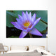 Fleur Nenuphar Nenufar Wall Mural