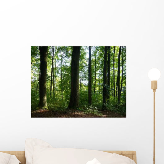 Baume Wald Wall Decal