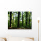Baume Wald Wall Decal