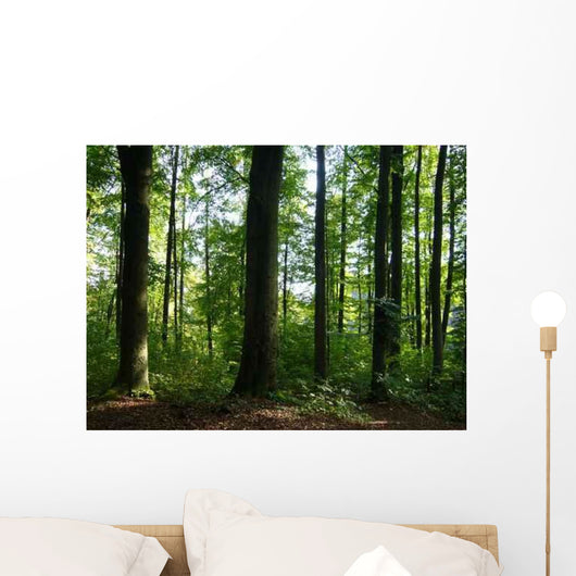 Baume Wald Wall Decal