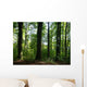 Baume Wald Wall Decal