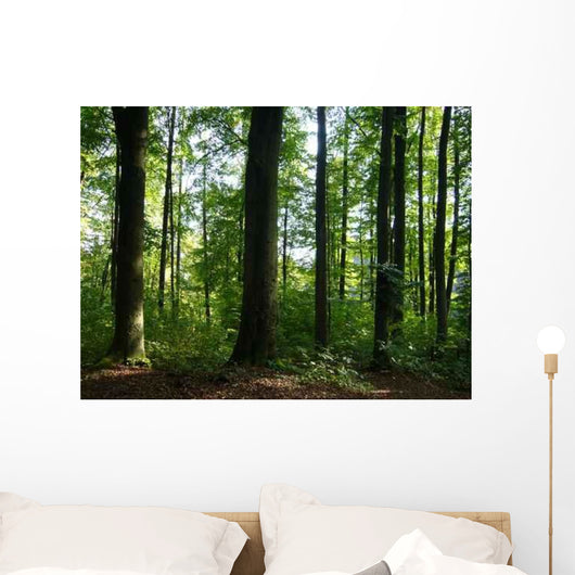 Baume Wald Wall Decal