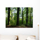 Baume Wald Wall Decal