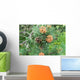 Pine and Pine Cone Wall Mural