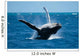 Granville Whale 2 Wall Mural