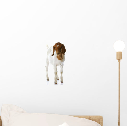 Goat Doeling Standing Wall Decal