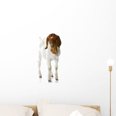 Goat Doeling Standing Wall Decal shown on a wall