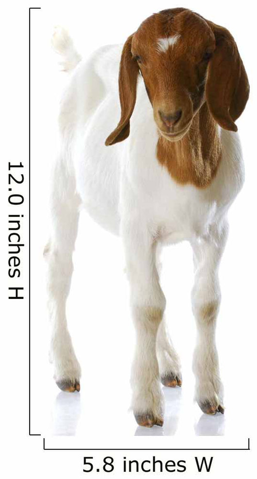 Goat Doeling Standing Wall Decal