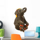 Circus Elephant Wall Decal