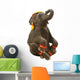 Circus Elephant Wall Decal
