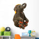Circus Elephant Wall Decal