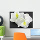 Bauhinia Blanc Fond Noir Wall Mural