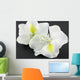 Bauhinia Blanc Fond Noir Wall Mural