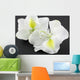 Bauhinia Blanc Fond Noir Wall Mural