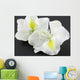 Bauhinia Blanc Fond Noir Wall Mural