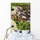 Rhododendron Wall Mural