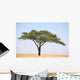 Acacia Tree on the Serengeti Wall Mural