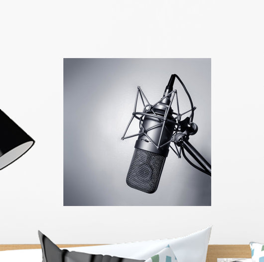 Studio Microphone