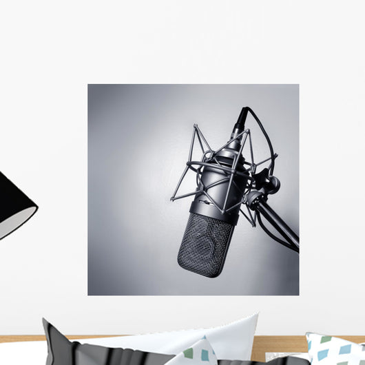 Studio Microphone