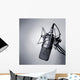 Studio Microphone