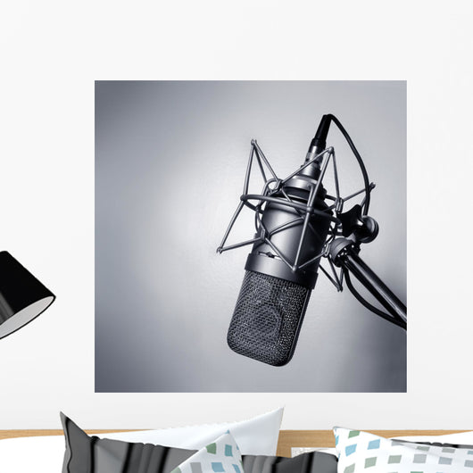 Studio Microphone