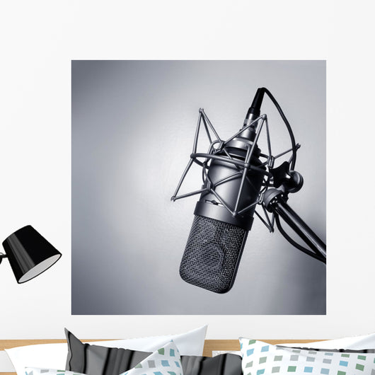 Studio Microphone
