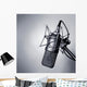Studio Microphone