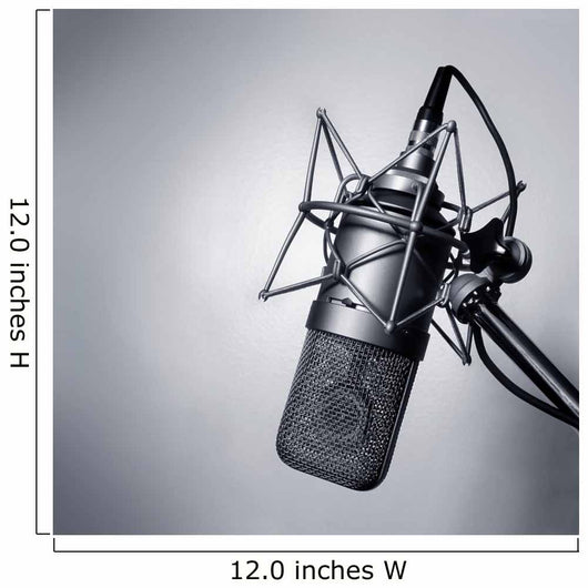 Studio Microphone