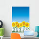 Sunflower behind white fence Wall Mural