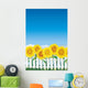 Sunflower behind white fence Wall Mural