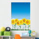Sunflower behind white fence Wall Mural