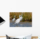 Snowy Egrets Wall Mural