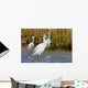 Snowy Egrets Wall Mural