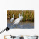 Snowy Egrets Wall Mural